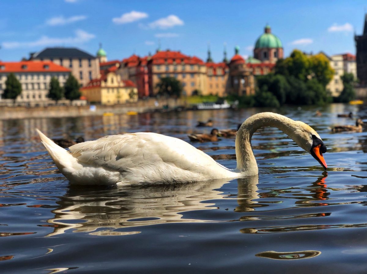 惊艳的布拉格 3 (Beautiful Prague Part III)