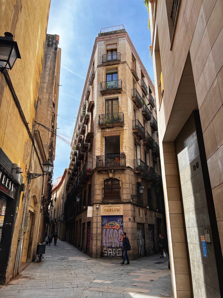 This image has an empty alt attribute; its file name is snapseed-13-768x1024.jpg