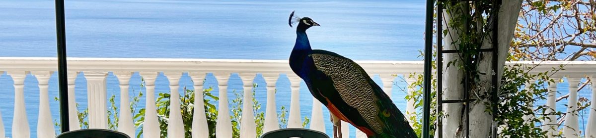 Our Trips Around The World