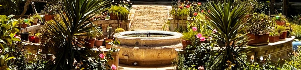 Our Trips Around The World