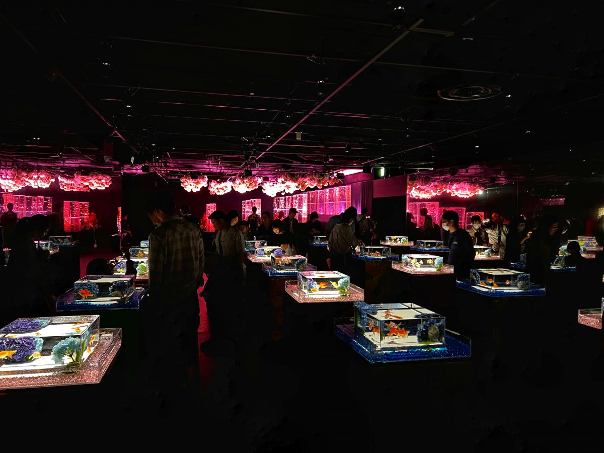 东京第三天  Day 3 in Tokyo