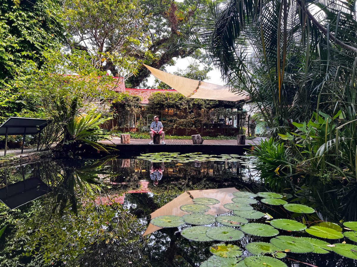 乔治城第二周 Week 2 In George Town