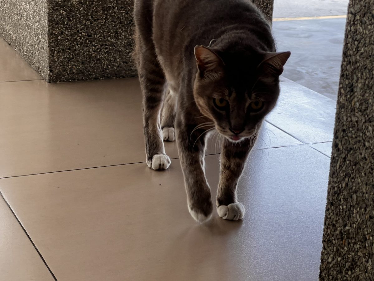 Some People In Penang 槟城遇到的一些人