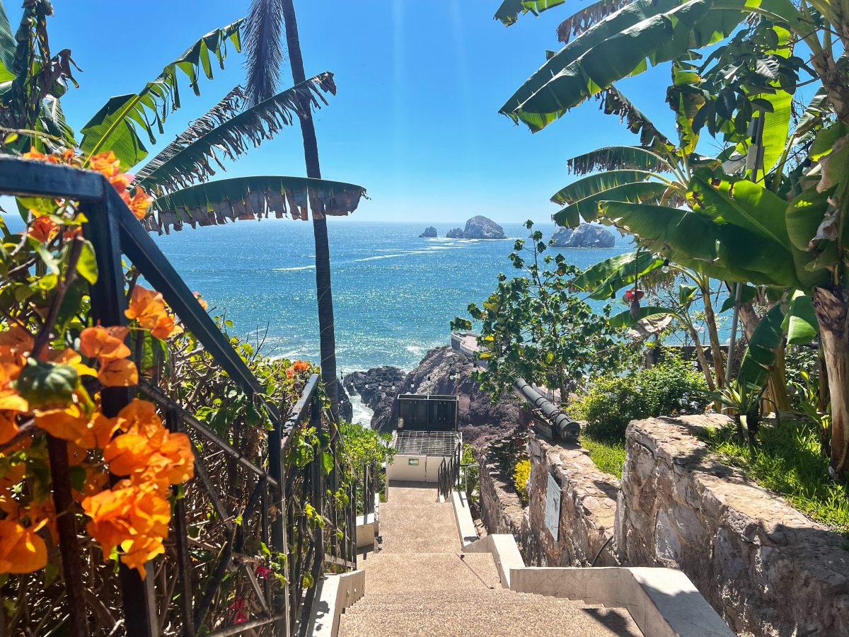 马萨特兰第二周 Week Two in Mazatlan