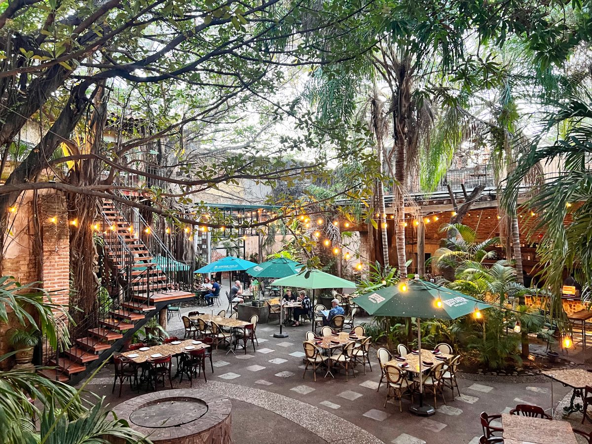 马萨特兰的食物 Food in Mazatlan