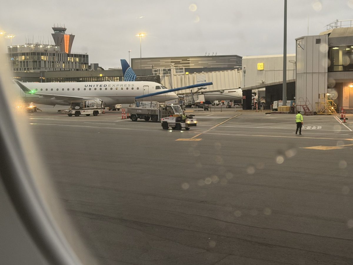 去悉尼 Heading to Sydney!