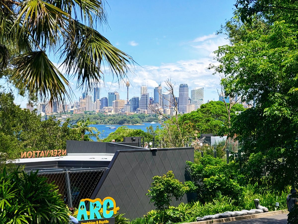 澳大利亚的动物们 Australian Animals