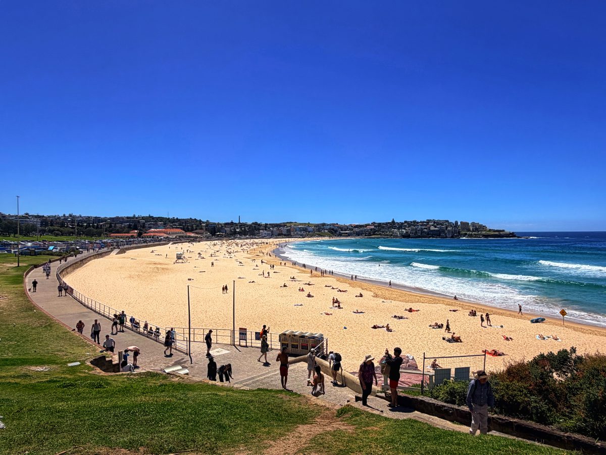 悉尼最后一天 The Last Day in Sydney