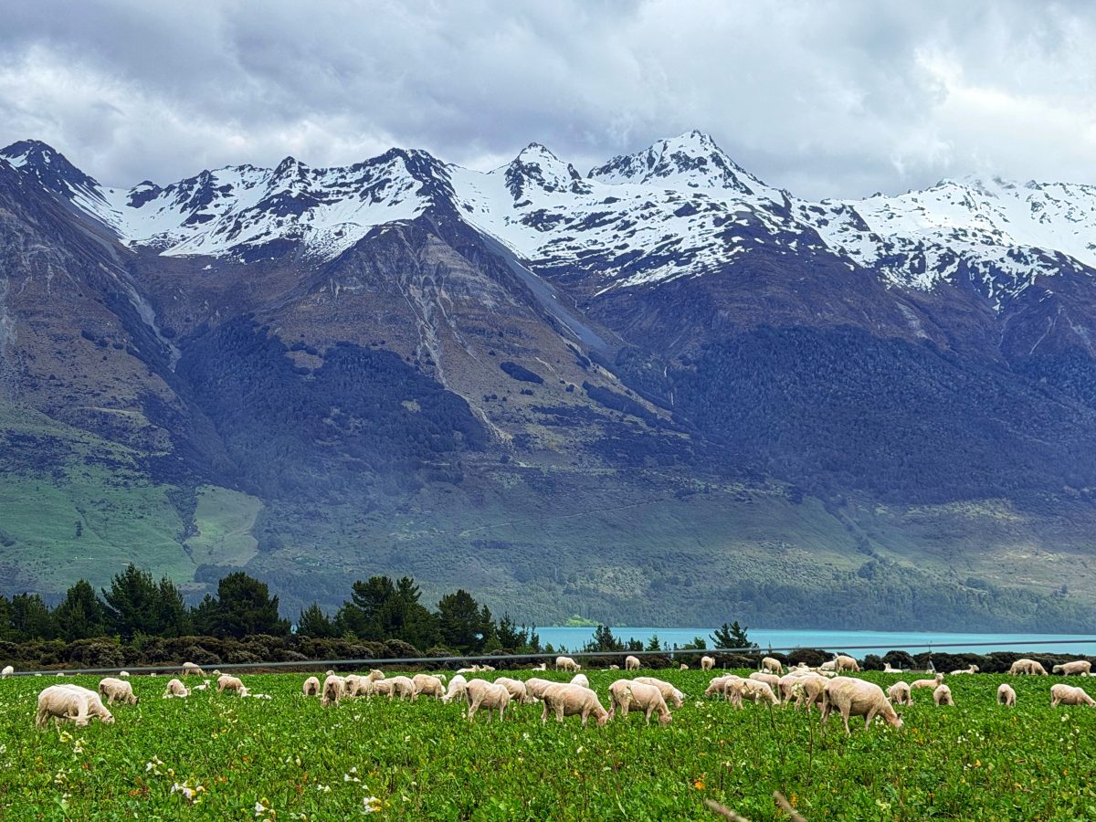 小镇和温泉 – From small towns to a hot tub